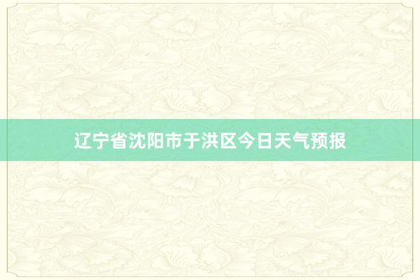 辽宁省沈阳市于洪区今日天气预报